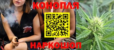 стафф Будённовск