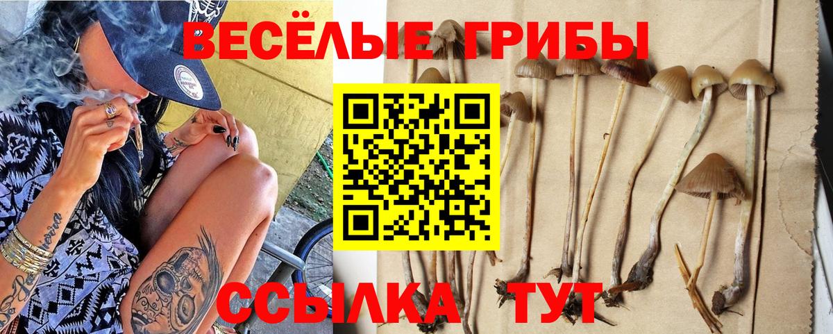 Галлюциногенные грибы Psilocybe  Псилоцибиновые грибы Magic Shrooms  магазин  наркотиков  Лесосибирск  Вход с VPN 